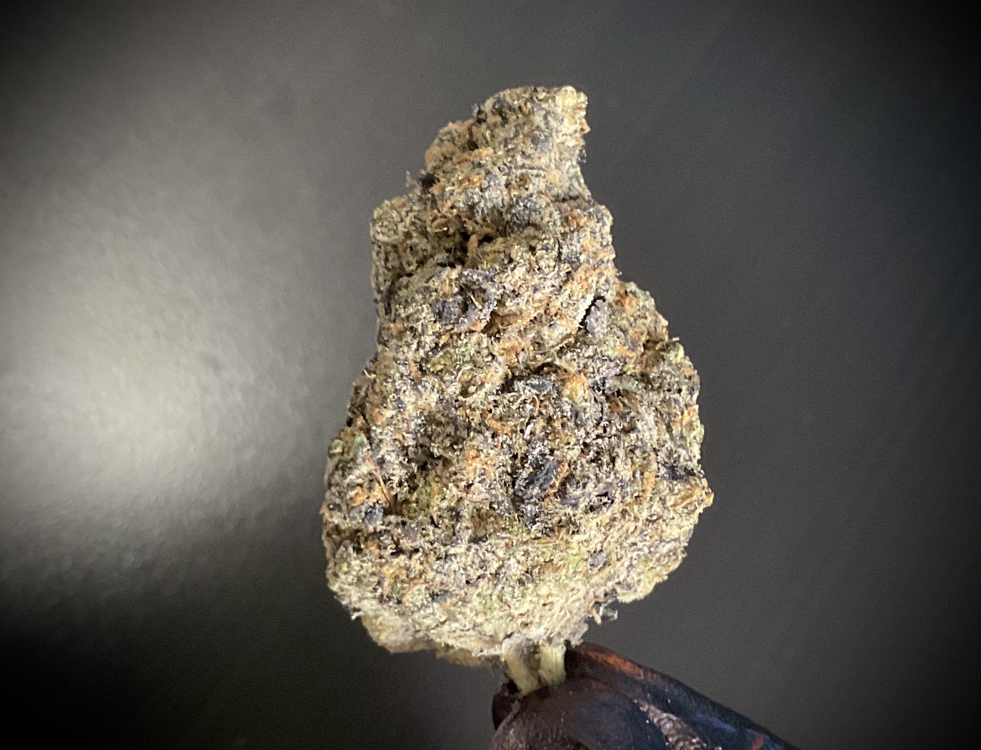 Cosmic Crisp THCA / Gram